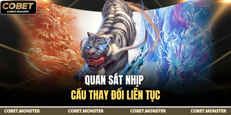 Quan sát nhịp cầu thay đổi liên tục