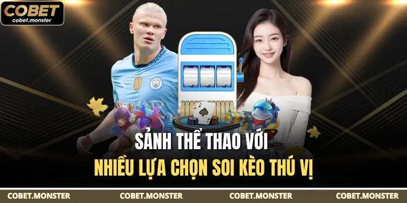 Sảnh thể thao với nhiều lựa chọn soi kèo thú vị
